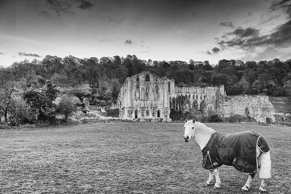 Ruin and Nature