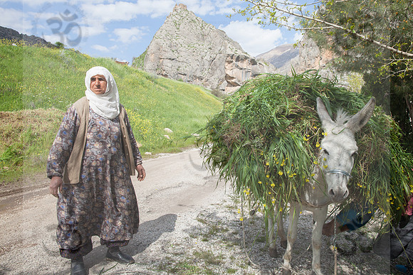 Peasant with Yeni Kale fortress in background