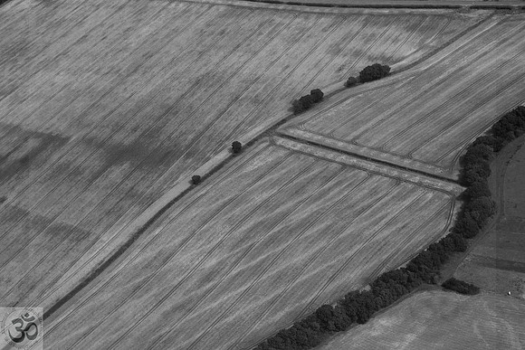 Grass field
