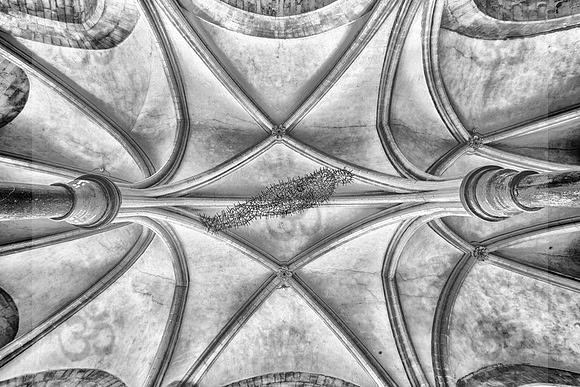 Resurrection in Nails ( monochrome )