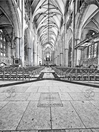 View from the West Door II