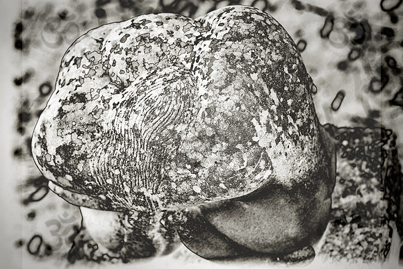 Embrace set in stone II