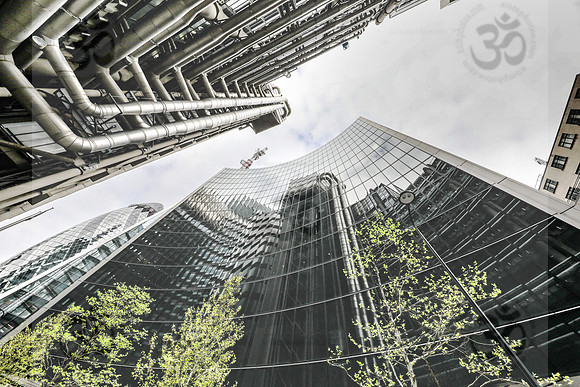 LLoyds reflextion