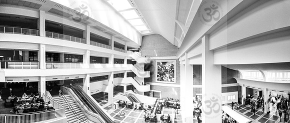 Training the Ego Mind ( III ) Panorama ( Monochrome)