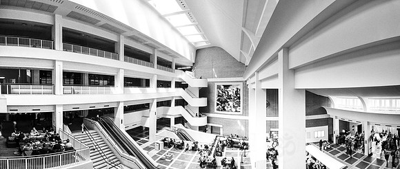 Training the Ego Mind ( III ) Panorama ( Monochrome)