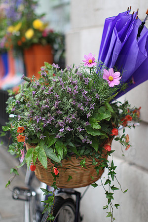 Floral bike